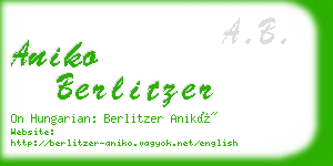 aniko berlitzer business card